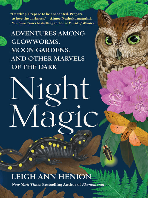 Title details for Night Magic by Leigh Ann Henion - Available